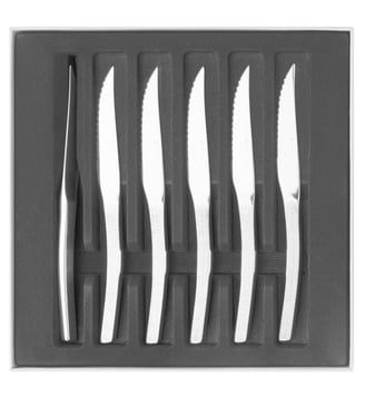 Coffret 6 Couteaux à Steak Monobloc Lame Scie - Astree Cisele Degrenne