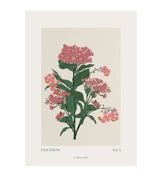 Poster A Linear Dot - Geranium - Poster & Frame - Multicolore