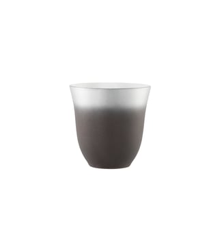 Mug 25 Cl - Illusions - Degrenne - The blanc de chine