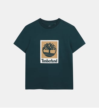 Tee-shirt manches courtes - Timberland - Vert