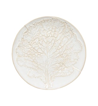 Assiette de Présentatio/Plat Silvina - Costa Nova - Fenouil blanc