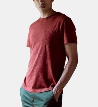 T-shirt coton OLONNE - Faguo - Bordeaux