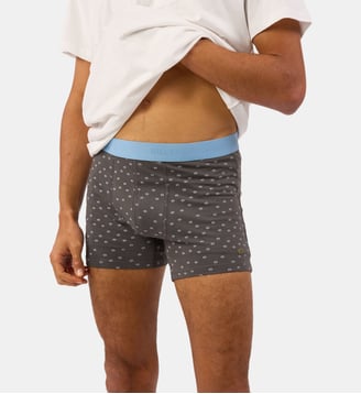 Boxer Billy ocean en coton biologique - Billybelt - Gris