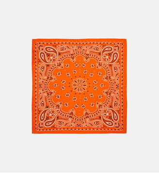 Petit foulard à motifs PAISLEY - Wild - Terre
