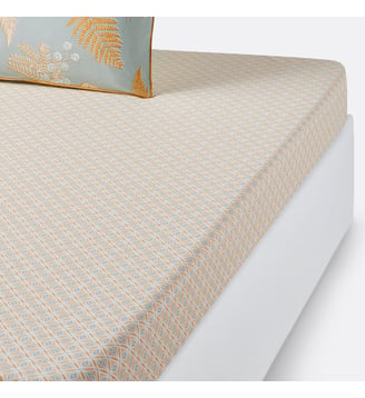 Drap housse en percale de coton La Redoute Interieurs