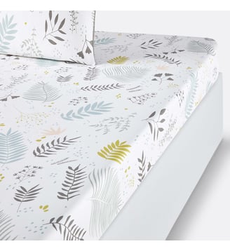 Drap housse percale de coton La Redoute Interieurs