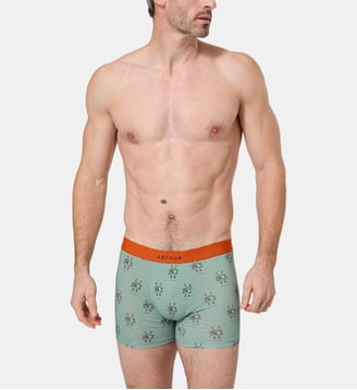 Boxer   - Robot - Arthur - Vert