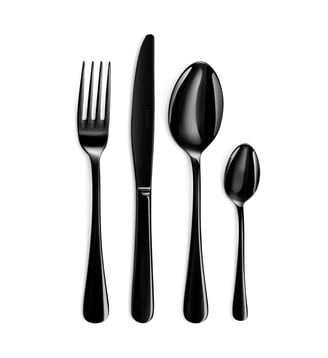 Ménagère 24 pièces en acier inoxydable - Couzon - Noir