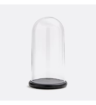 Cloche en verre avec socle noir Campa La Redoute Interieurs