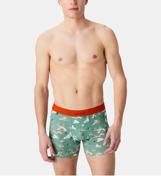 Boxer Noël en altitude - Arthur - Vert