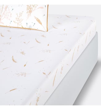 Drap housse pur coton La Redoute Interieurs