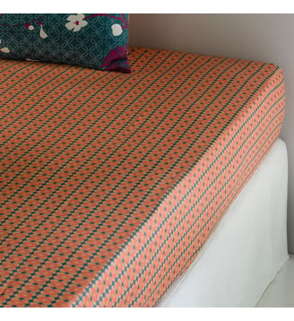 Drap-housse coton La Redoute Interieurs