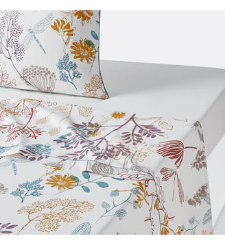 Drap plat percale de coton La Redoute Interieurs
