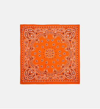 Foulard medium à motifs PAISLEY - Wild - Terre