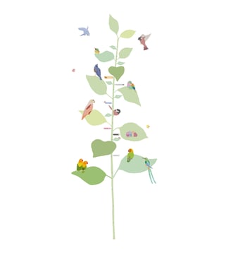 Toise With the birds - Mimi' lou - Vert