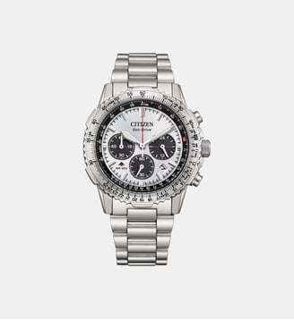 Montre Promaster Argenté, Noir CA4660-61A - Citizen - Argenté