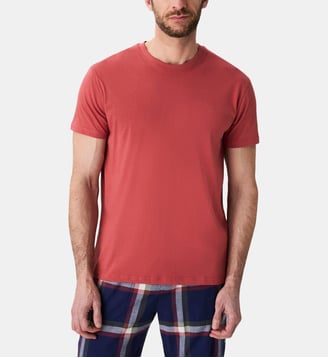 Tee-shirt Terracotta - Arthur - Marron