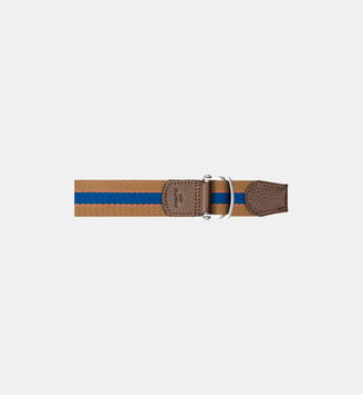 Ceinture sangle Cesar - Billybelt - Multicolore
