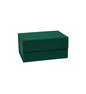 Boîte de rangement en carton  Living - OYOY - Vert