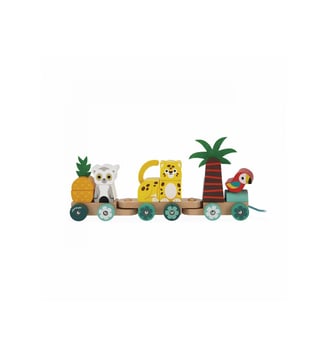TROPIK - TRAIN TROPICAL À TIRER - Janod - Multicolore