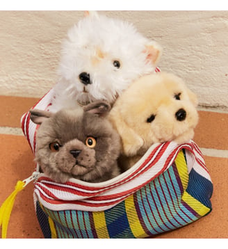 Peluche - Bt Chaps - Gris