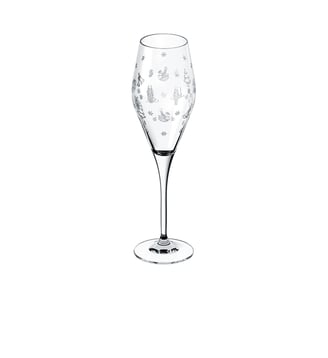 Flûte à champagne, Set 2 pcs - Villeroy & Boch - Transparent