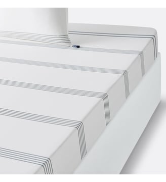 Drap housse coton La Redoute Interieurs