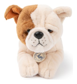 Peluche - Bt Chaps - Marron