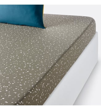 Drap-housse coton La Redoute Interieurs