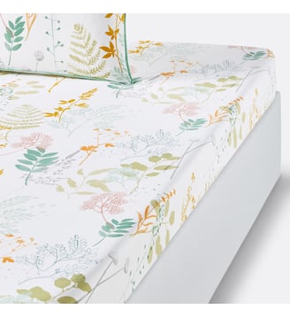 Drap housse percale de coton La Redoute Interieurs