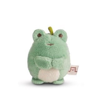 minis Frog Ferg - Nici - Vert