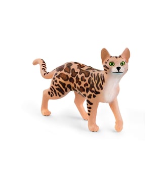 Chat bengal - Schleich - Multicolore