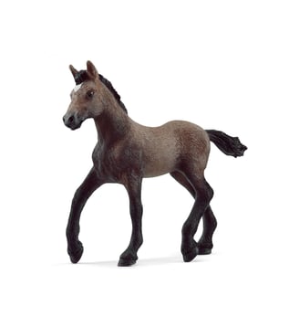 Poulain Paso Péruvien - Schleich - Multicolore