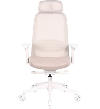Chaise gaming C15 Ergo Beige Progress - Skillkorp - Beige