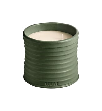  Marihuana  Grande bougie Parfumée - Loewe - Vert sapin