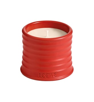 Tomato leaves - Bougie Parfumée - Loewe - Rouge