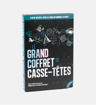 Le Grand Coffret Casse-Têtes - Professor Puzzle - Multicolore