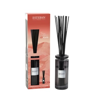 Bouquet parfumé initial rechargeable - 100 ml - Esteban Paris Parfums