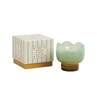 Glycine et Saule - Bougie parfumée - Paddywax - Bleu