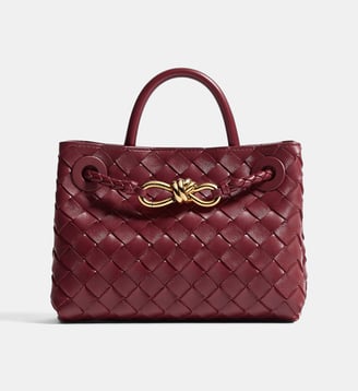 Sac à main Mini Andiamo en cuir - Bottega Veneta - Bordeaux