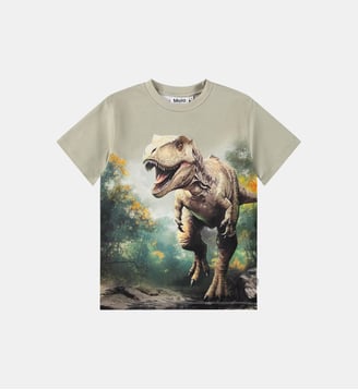 T-shirt droit coton organique imprimé dinosaure - Molo - Vert clair
