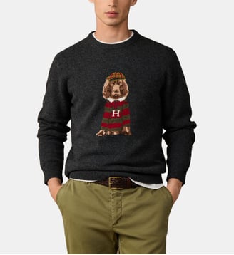 Pull Harry à col rond - Hackett London - Charcoal grey