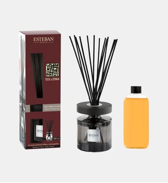 Teck & Tonka - Bouquet Parfumé Ellipse Rechargeable - Esteban Paris Parfums