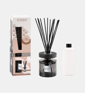Iris Cachemire - Bouquet Parfumé Ellipse Rechargeable - Esteban Paris Parfums
