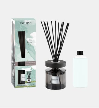 Pur Lin - Bouquet Parfumé Ellipse Rechargeable - Esteban Paris Parfums