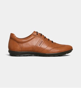 Baskets basses Uomo Symbol cuir - Geox - Marron