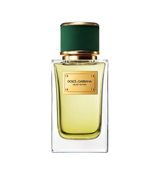 Vetiver - Eau de parfum - Dolce & Gabbana Beauty