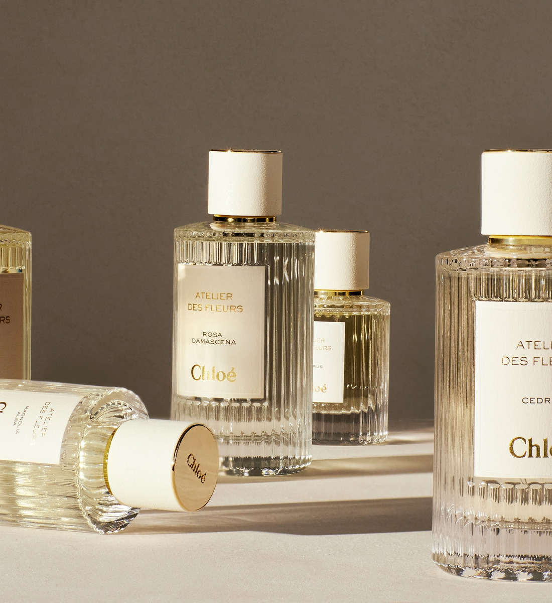 Herba Mimosa Eau de Parfum - Chloé | Galeries Lafayette